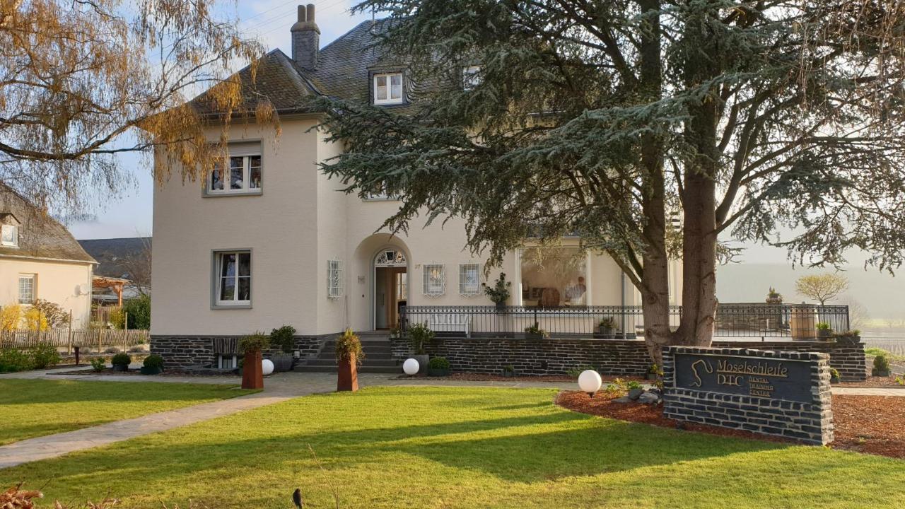 Apartmán "Reh"-Sidenz Moselschleife Leiwen Exteriér fotografie